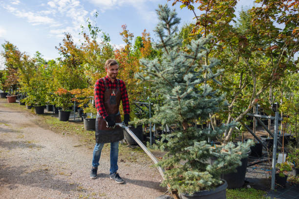 Weigelstown, PA Tree Care  Company